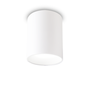 NITRO LED STROPNA SVETILKA OKROGLA D10 BELA ID319568