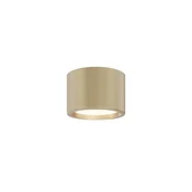 Mat zlata okrogla stropna svetilka O10cm za kopalnico LED 10W Hydra Maytoni