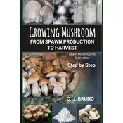 Growing Mushroom From Spawn Production to Harvest