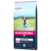 10% popustš Eukanuba 12 kg - Puppy Large Breed losos