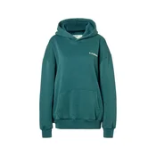 HOLLISTER Majica jelka/off-bela