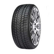 Gripmax Status Pro Winter ( 245/40 R20 99V XL )