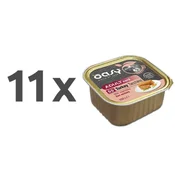 Oasy Grain Free Paté Adult puran in zelenjava, paté v posodici - 150 g 11 x 150 g