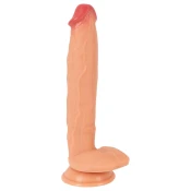 Penis Real Giant