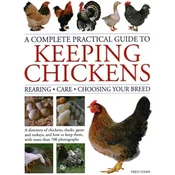 Keeping Chickens, Complete Practical Guide to