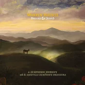 Warren Haynes - Dreams & Songs: A Symphonic Journey With The Asheville Symphony Orchestra (Gatefold) (Yellow Coloured) (3 LP)