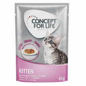 Miješano pakiranje: Concept for Life u umaku i želeu 24 x 85 g  - Kitten u umaku i želeu