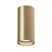 Maytoni Technical Focus Maytoni C010CL-01MG stropna svetilka