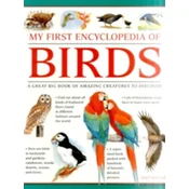 My First Encylopedia of Birds (Giant Size)