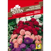 SEME ROYAL SEEDS 22 Astra nizka, mešanica