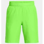 Boys shorts Under Armour Tech Woven Wordmark Short