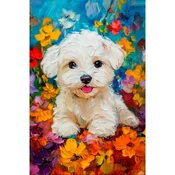 Slika po brojevima Beli pas, 20x30 cm