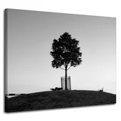 shumee Platno s tiskom Narava Drevo Črno-belo 100x80