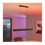 Eglo 31433 - LED RGBW Zatemnitveni lestenec na vrvici ANDREAS-Z LED/38W/230V črna