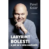 Albatros Media Labirint bolečine - Pavel Kolář