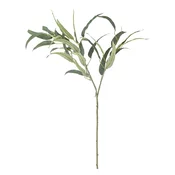 Umetni evkaliptus (višina 85 cm) Eucalyptus – Bloomingville