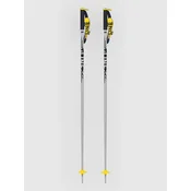 Line Pin 2027 Ski Poles uni