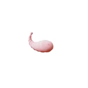 shumee Mini vibrator