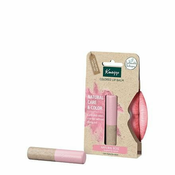 Kneipp Natural Care & Color balzam za toniranje za usne nijansa Natural Rosé 3,5 g