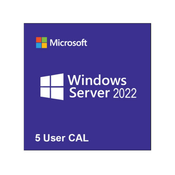 Microsoft windows server CAL 2022 English 1pk DSP OEI 5 Clt User CAL ( R18-06466 )