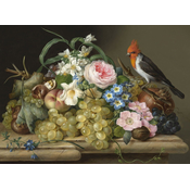 Nova puzzle - Puzzle Flower Fruits and Bird Still Life - 1 000 dijelova