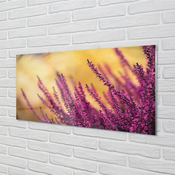 tulup.si Stenska plošča za kuhinjo Cvetje 125x50 cm