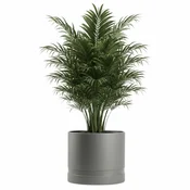 shumee Cvetlični lonec Luna valjast antraciten 43,3 cm