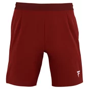 Moške kratke hlače Tecnifibre  Club Short Cardinal S