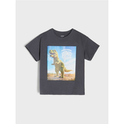 Sinsay - Pamucna majica sa printom Brainrot Cactusini Dinosaurini - antracit