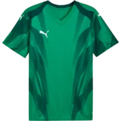 Puma Dres teamFINAL Graphic+