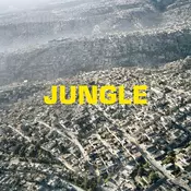 The Blaze - Jungle (LP)