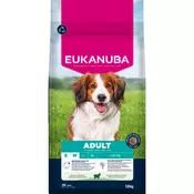 Eukanuba Premium Nutrition Adult Small & Medium Breed janjetina i riža - 2 x 12 kg