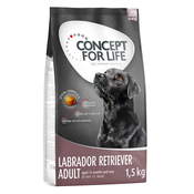 Snižena cijena! 1 kg / 1,5 kg Concept for Life hrana za pse - Labrador Retriever Adult (1,5 kg)