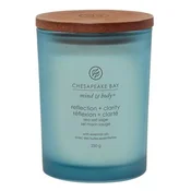 Svíčka Chesapeake Bay Candle střední, Reflection & Clarity, Pravda a jasný pohled, mořská sůl, 250 g