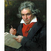 DP MAPA BEETHOVEN PORTRET