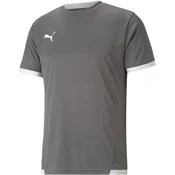 Puma Dres teamLIGA Jersey