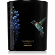 Vila Hermanos Jungletopia Hummingbird dišeča sveča 200 g