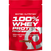 Scitec Nutrition Protein 100% Whey Professional, Ledena kafa 500g
