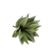 Umetna agava grm 19 cm - do 25 cm