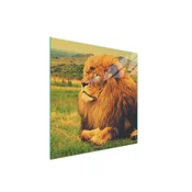 shumee Steklena zaščitna plošča za štedilnik 50x52 Lion