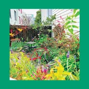 The Reds, Pinks And Purples - Unwishing Well (Limited Edition) (White Coloured) (LP)