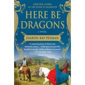 HERE BE DRAGONS