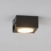 Luminex Downlight Ian v črni barvi, enogorljiv - Dnevna soba/jedilnica - Sodobni - Kovina