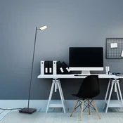 LED-stoječa svetilka PURE Mira, črna biserna, daljinski upravljalnik - Dnevna soba/jedilnica - Sodobni - črna bisera, bela - Kovina