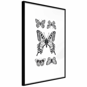 Poster - Butterfly Collection IV 20x30
