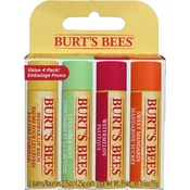 Burts Bees Freshly Picked Lip Balm Set - 1 set