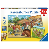 Ravensburger Slagalica Dana na ergeli, 3x49 delova