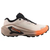 Ženska tekaška obutev Salomon Genesis 2 GTX Rainy Day/Desert Tan/Nectarine UK 5,5
