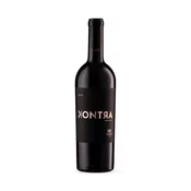 Vino Aleksic Kontra