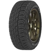 Accelera Omikron A/T ( 285/40 R22 110H XL )